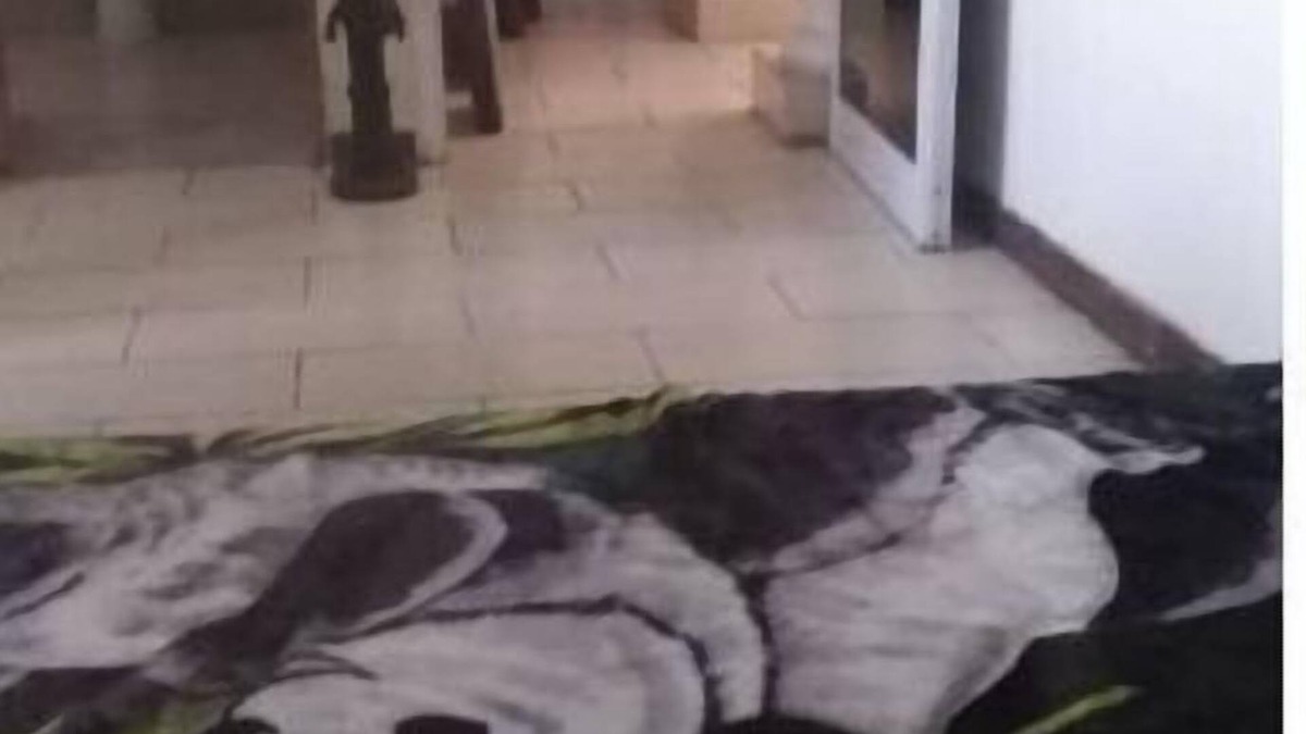 Ogbodjo Apartment | Africana - East Legon
