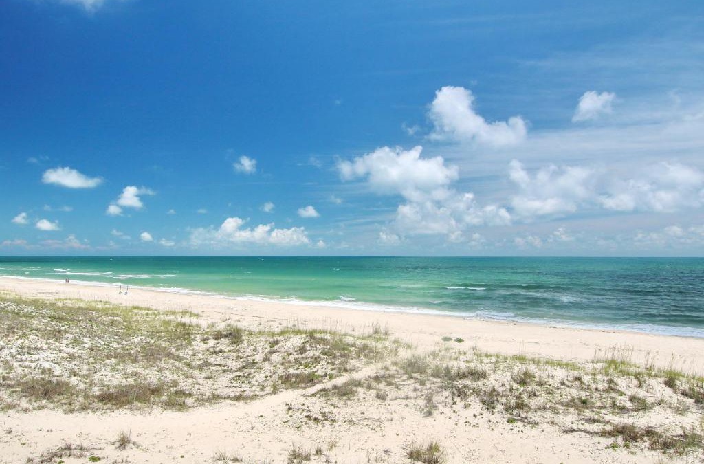 Sea Palm Village House | After Dune Delight