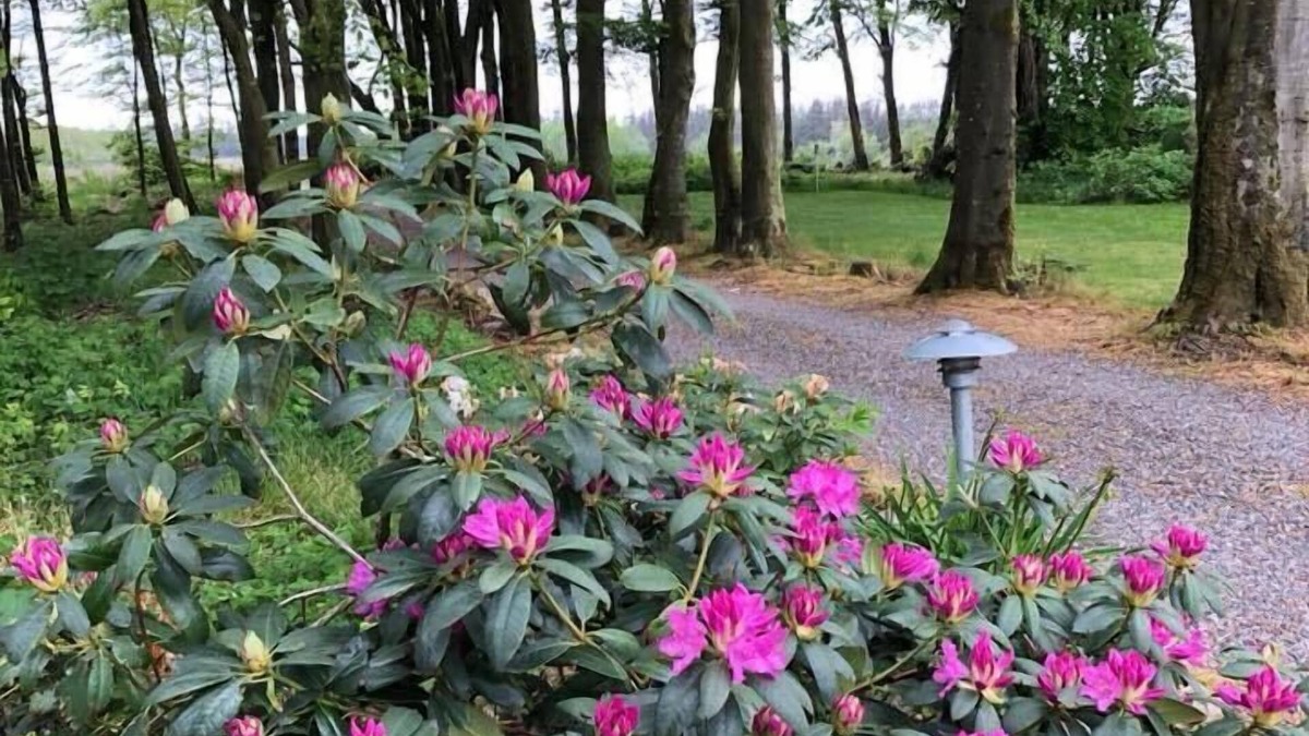 Holstebro Bed & Breakfast | Agerfeld Gl Skole