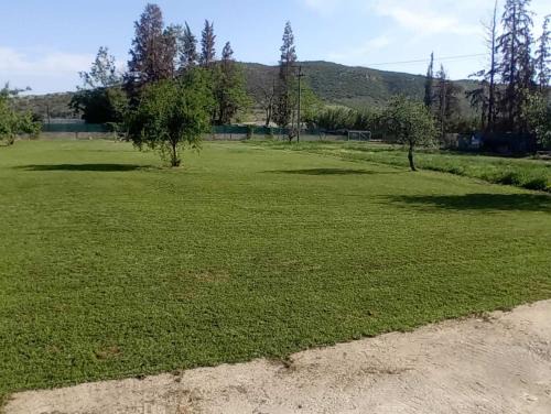 Volos House | Aggelos Gardenhouse of Volos