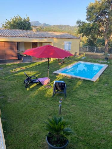 Cervione Apartment | Agréable rez de jardin avec Piscine et Jacuzzi