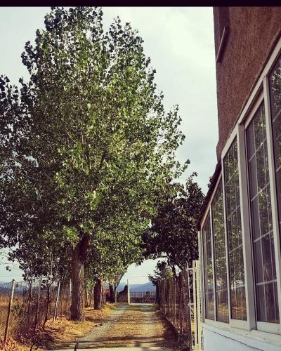 San Cristobal de Segovia House | Agradable casa con jardín: Casasola