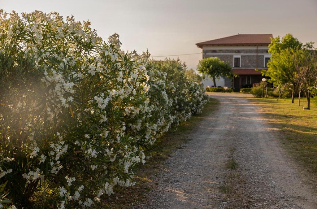 Albanella House | Agri Charme Tenuta Picilli