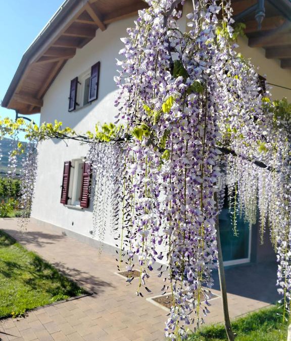 Nave San Rocco House | Agritur Lavanda