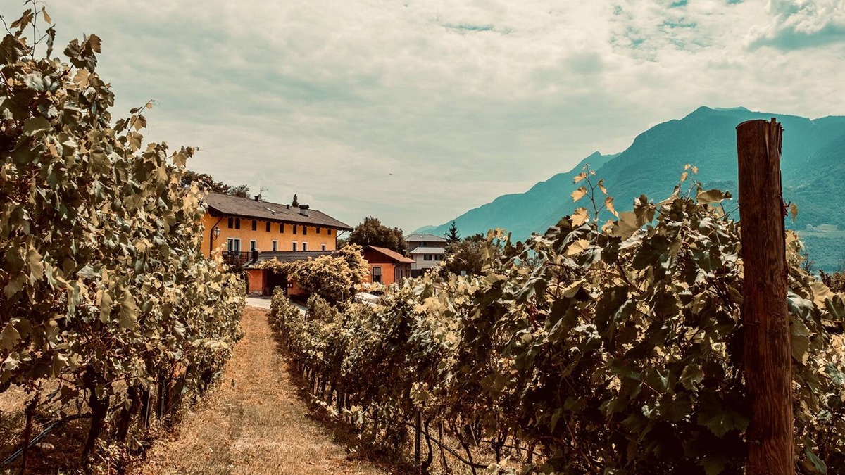 Martignano Other | Agritur Mas Dei Chini