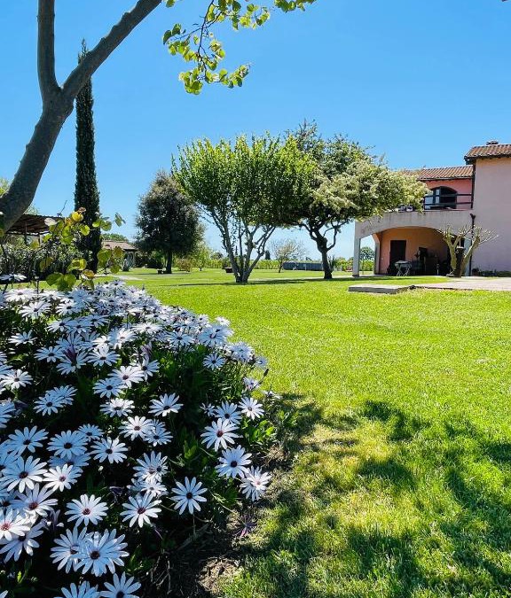 Castiglione della Pescaia House | Agriturismo Paradiso