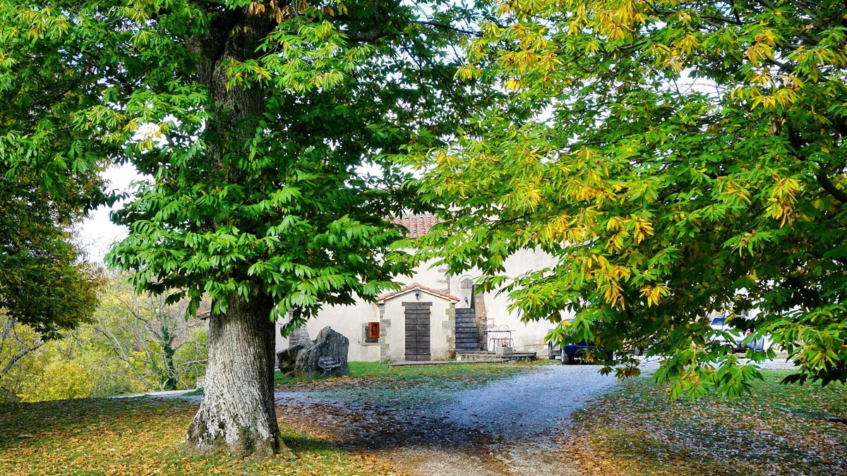 Arcidosso Other | Agriturismo Bio I Rondinelli
