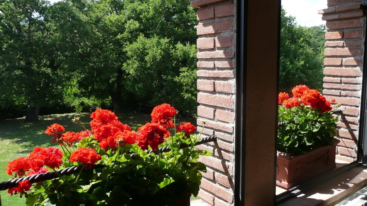 Montieri Other | Agriturismo Colli di Travale