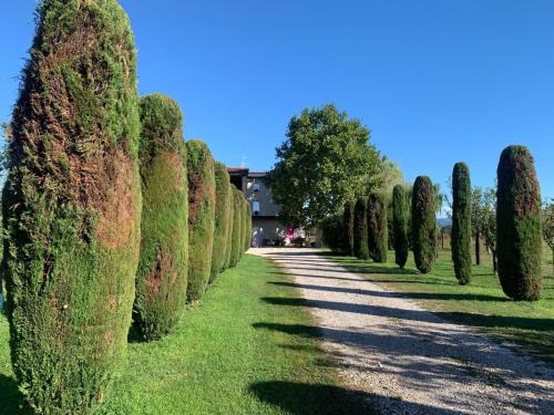 Pescantina Apartment | Agriturismo Corte Bonetti - Appartamento Il Salice