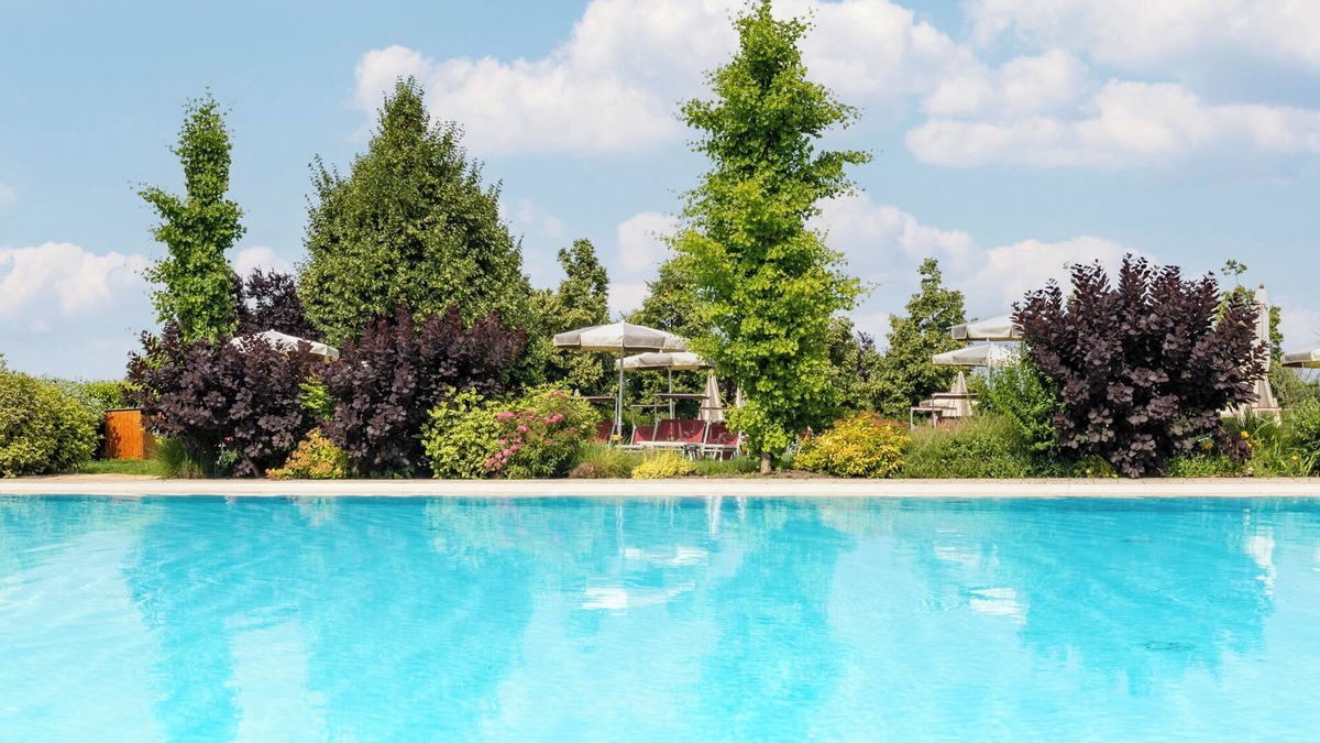 Sona Other | Agriturismo dei Grippi