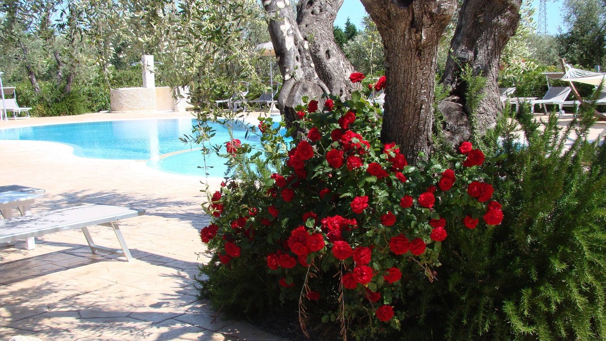 Chiesiola Other | Agriturismo I Tesori Del Sud