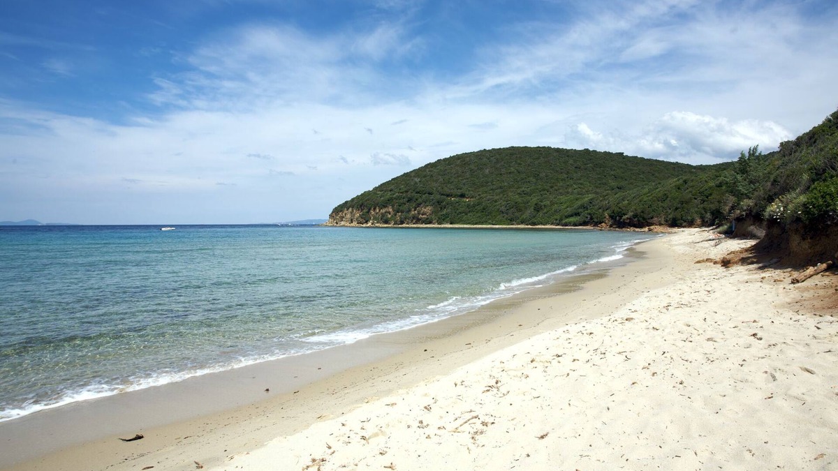 Piombino Other | Agriturismo Il Pescinone - Oleandro, between the countryside and the sea