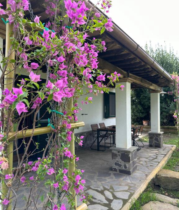 Bolsena Villa | Agriturismo Iride