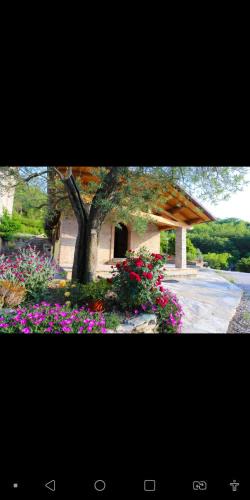 Citta di Castello House | Agriturismo la Tana