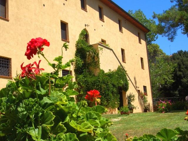 Gavorrano House | Agriturismo Lupo Vecchio