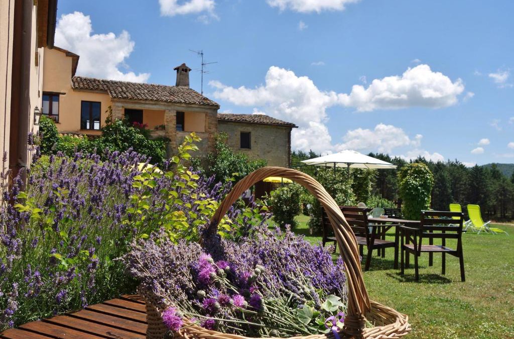 Citta di Castello House | Agriturismo Monterosello
