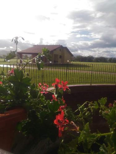 Campagnatico House | Agriturismo Oasi del Pianettino