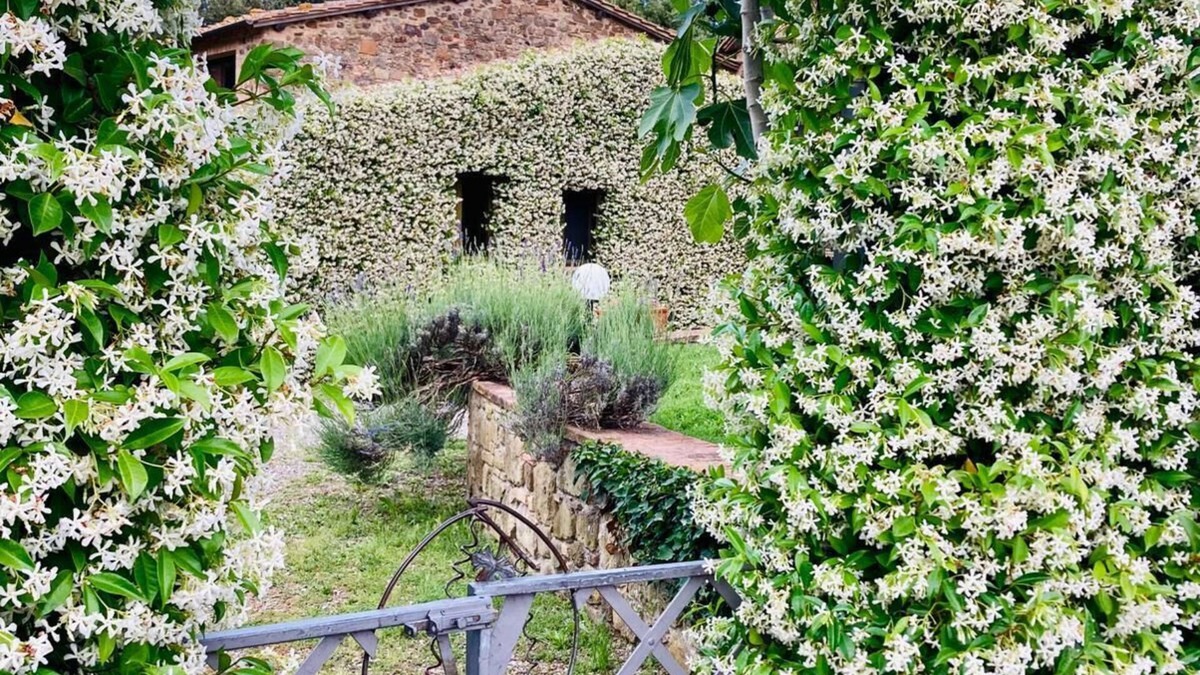 Crocina Other | Agriturismo Piombaia
