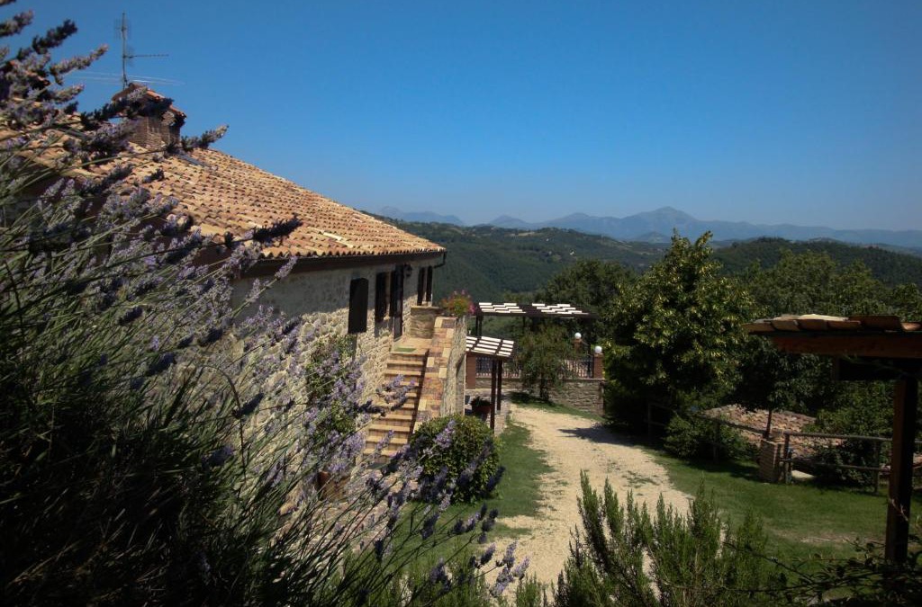 Monteluiano House | Agriturismo Semidimela