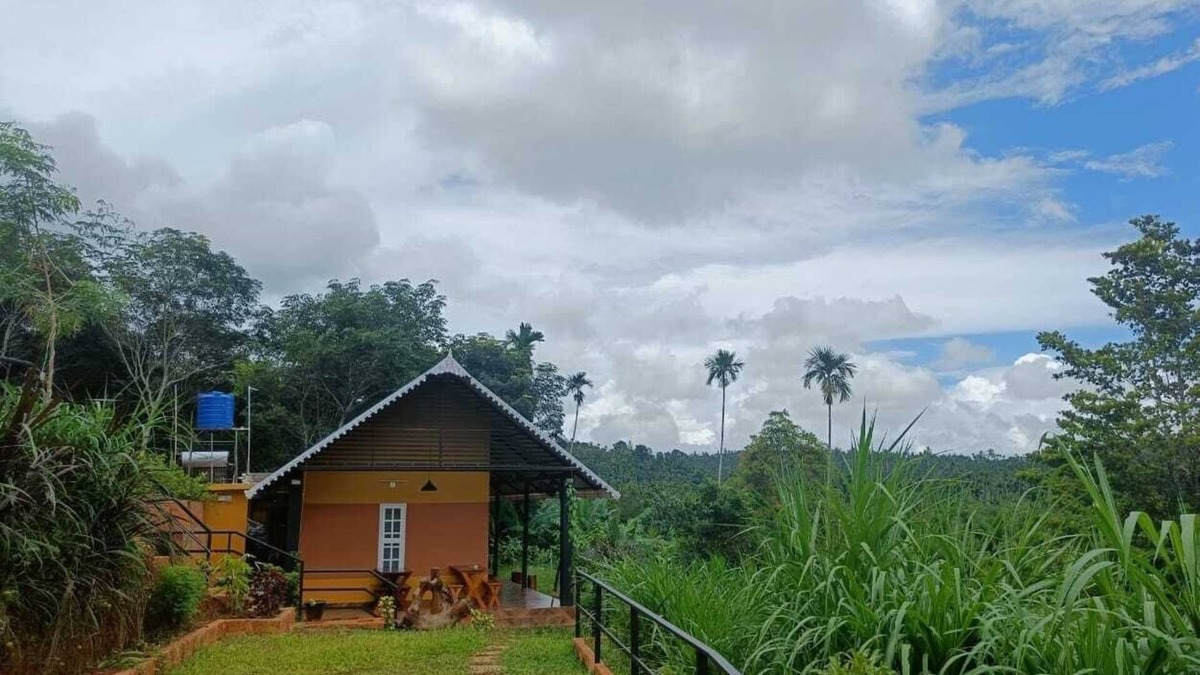 Sulthan Bathery Bed & Breakfast | Agronest Farm Wayanad