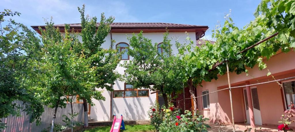 Niculitel House | Agropensiunea Olteanu
