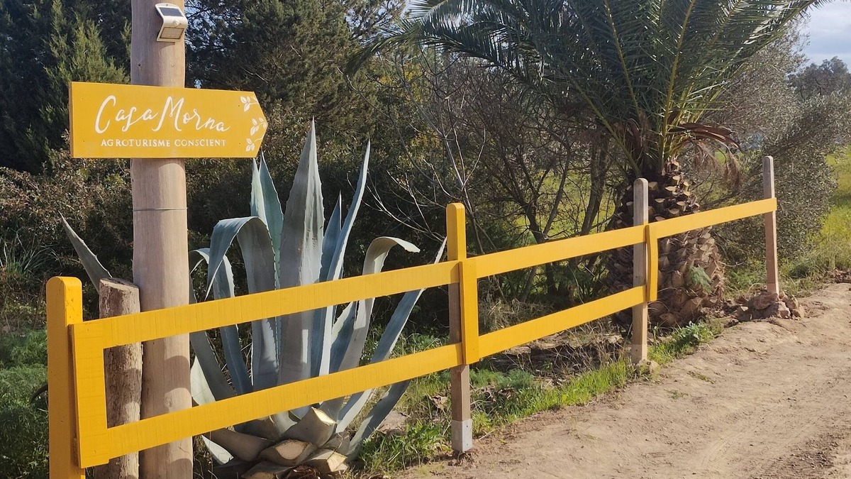 Sant Carles de Peralta Cottage | Agrotourism Morna - Casa Algarrobo