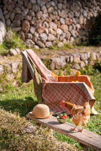 Valldemossa House | Agroturismo Son Viscos