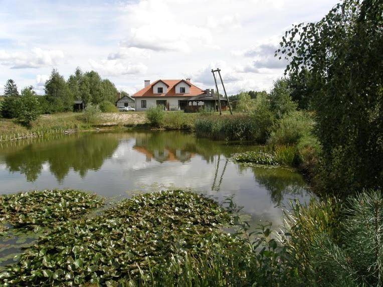 Lidzbark Welski House | Agroturystyka "Bociek"
