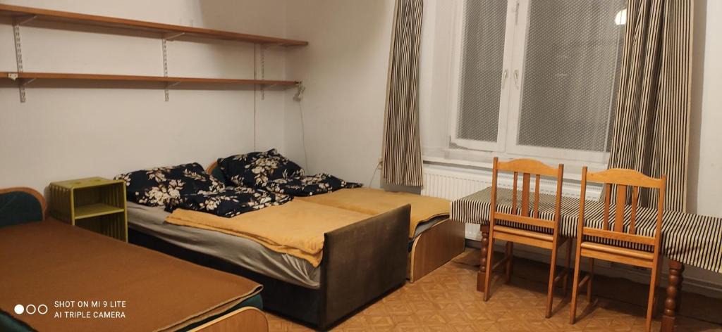 Trzciniec House | Agroturystyka W sercu kniei
