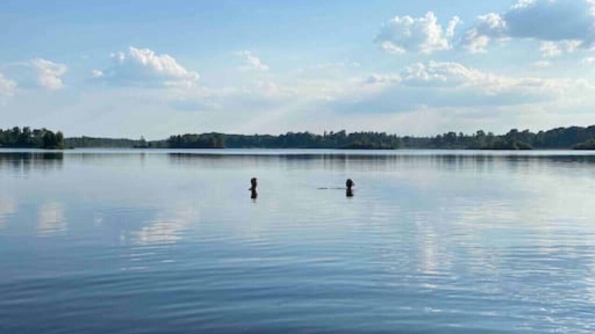 Agunnaryd Cottage | Agundaborg Lake Cottage