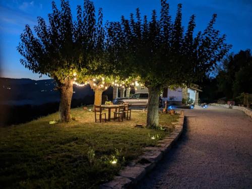 Todi Bed & Breakfast | Ai 4 Gelsi B&B