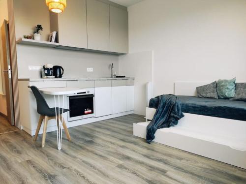 Ruzinov Apartment | Airport studio for two, free parking, airport view