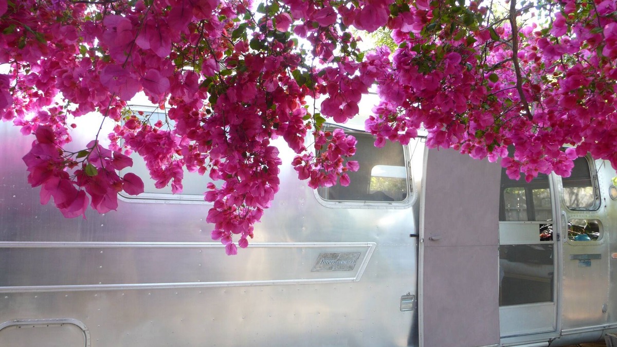 Mar Vista House | AIRSTREAM backyard private glamping Mar Vista GATED yard outdoor HOT shower