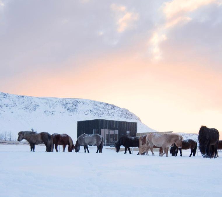 Sveitarfelagid Olfus House | Akurgerði Guesthouse 6 - Country Life Style
