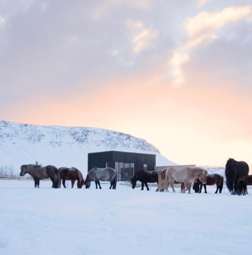Sveitarfelagid Olfus House | Akurgerði Guesthouse 8 - Country Life Style