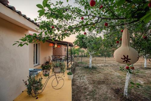 Molos Apartment | Al Mare Family Suite