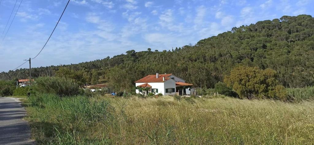 Rio Maior House | AL- Quinta dos Carvalhais