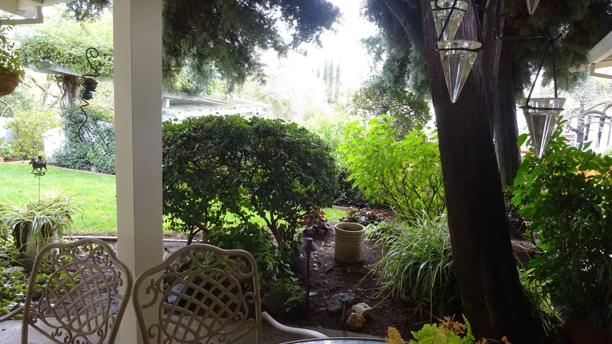 Alamo Cottage | Alamo Guesthouse Private and Secluded. Country living next to the city life.