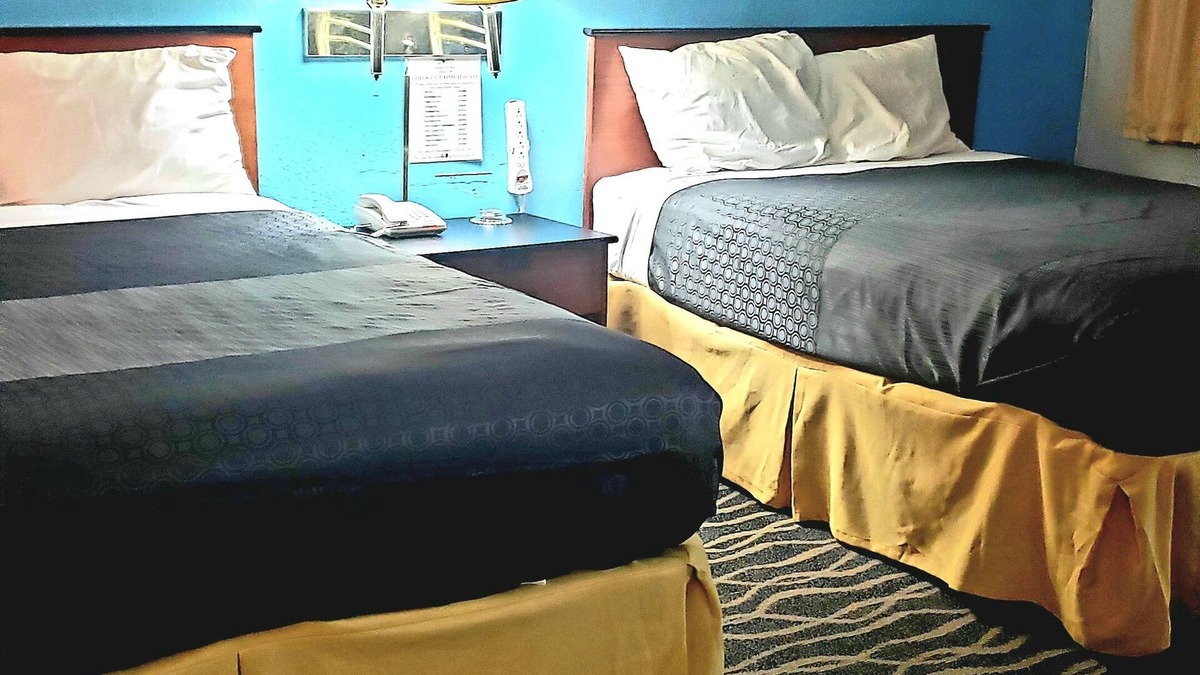 Elmwood Area Hotel | Alamo Motel