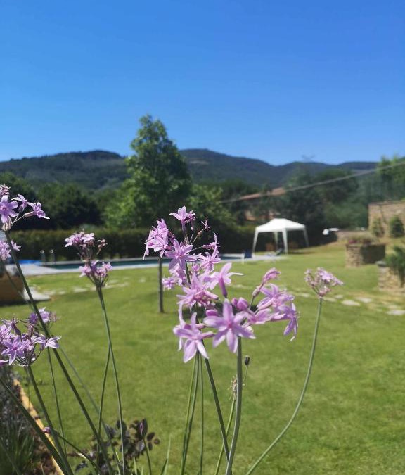 La Strada-Santa Cristina Bed & Breakfast | Alba Morus Bed & Breakfast sentiti a casa nel cuo