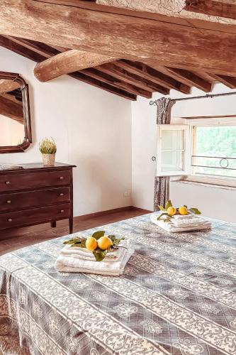 Piano di Conca Apartment | Alba - Villa Cenami - grande PISCINA con vista