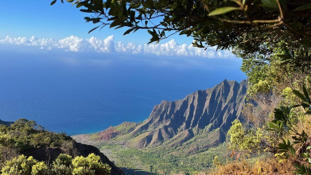 Princeville House | Albatross Ohana~Top location~3 bedroom house w/loft, waterfall views~ small pet