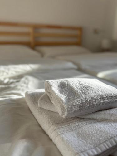 Illegio Hotel | Albergo Miramonti Illegio