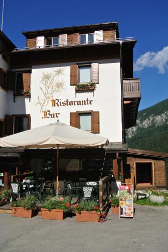 San Pietro di Cadore Hotel | Albergo Stella Alpina