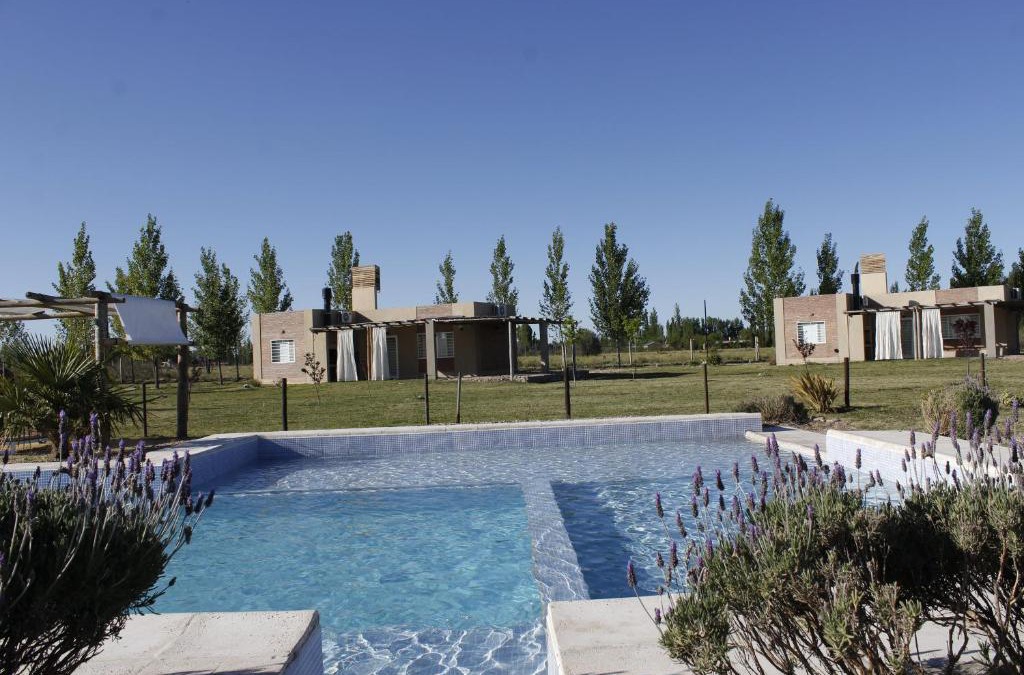 Rama Caida Cabin | Aldea Amedo