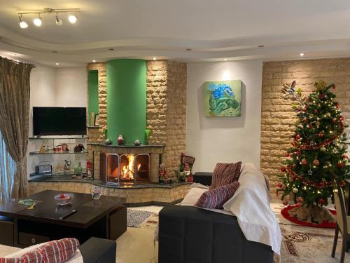 Ioannina Apartment | Aleksandras Διαμερίσματα