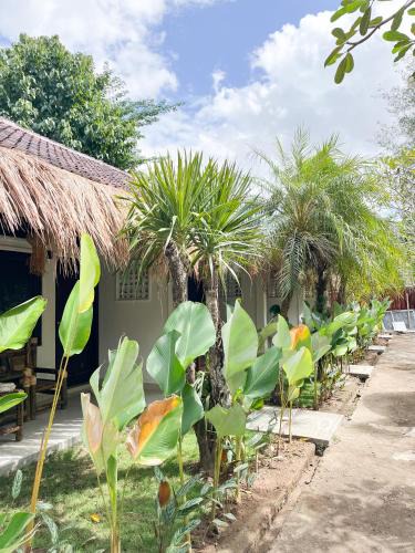 Kuta Bed & Breakfast | Alfa Kuta