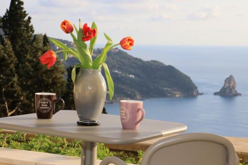 Corfu House | Alibertini Studios