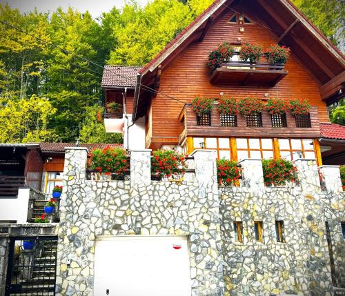 Sinaia House | ALISIO