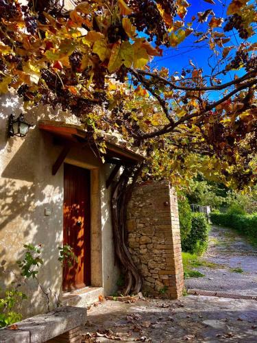 Semproniano House | All'Acqua Santa, immersi nella natura